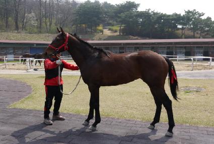 ������ ����