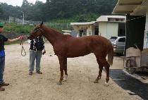 õ�Ⱝ�� (CHEONNYEONGANGJA) ����