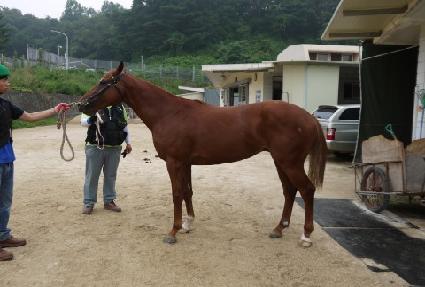 õ�Ⱝ�� ����