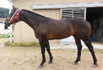 ������ġ (APPROACH) ����