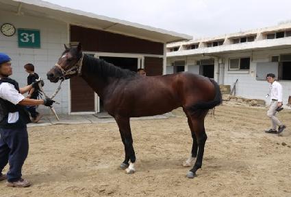 ���̱�� ����