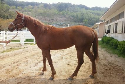 ��ġ��Ÿ ����