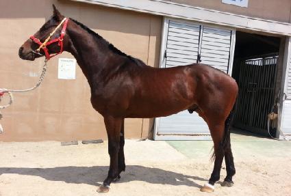 ��������ǳ ����