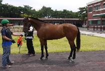 �������� (WOLGWANG GAIN) ����