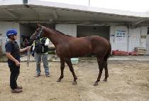 ��Ʈ���� (Want Magic) ����