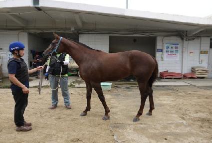 ��Ʈ���� ����