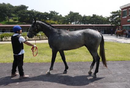 ��ũ���� ����