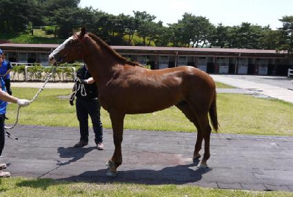 ��¼��� ����