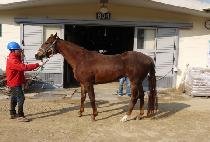 ���۽�Ʈ (THE FIRST) ����