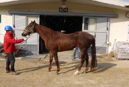 ���۽�Ʈ ����