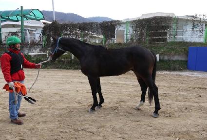 ���̿����� ����