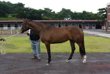 ���ѵ��� ����