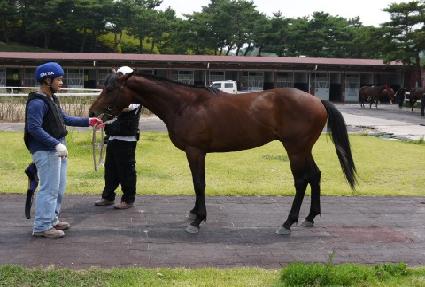 �ڽ���ŷ ����