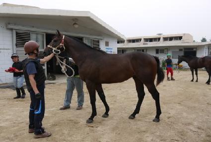 �������� ����