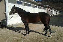 YOUARE THE CAPTAIN picture