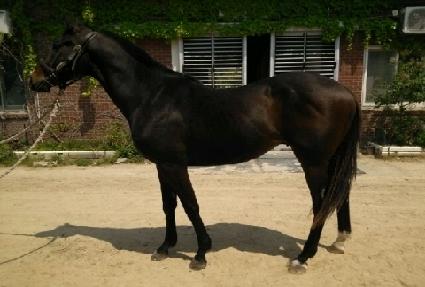 ���̺���ͽ� ����