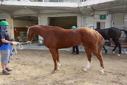 ���׺��� ����