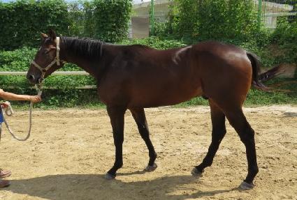 �¾����� ����