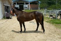 ��»�� (RAON SARAH) ����