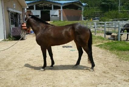 ��»�� ����