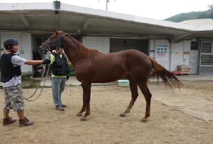 �±�õ�� ����