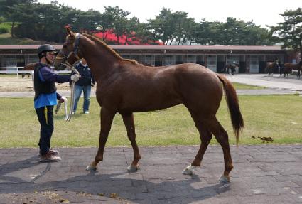 �䵿���� ����