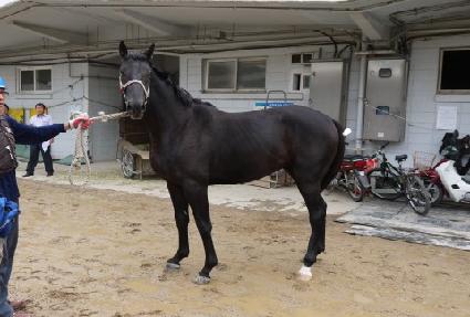 �ô�ŷ ����