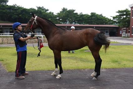 ȣ���� ����