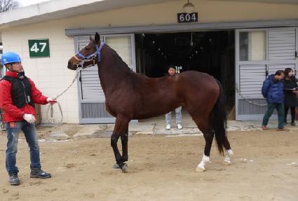 ���� ����