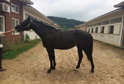 ���������� ����