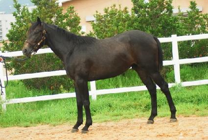 ���� ����