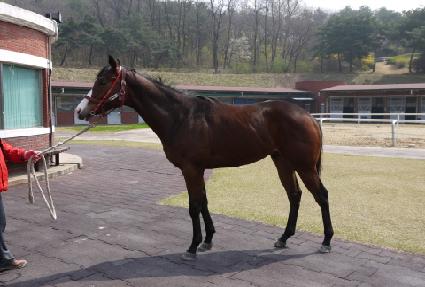 ������ƽ ����