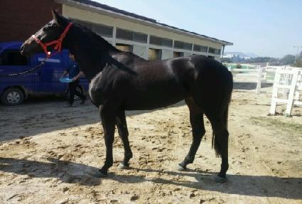 ������Ÿ ����