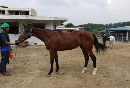 ���̾𼨸� ����