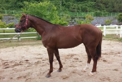 ��Ʈ��Ÿ ����