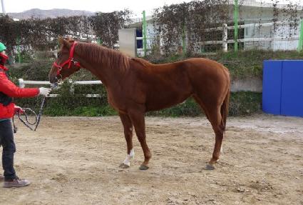 ���幮 ����