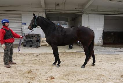 �۽�Ʈ�ʵ� ����