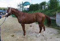 �ݰ����� (GEUMGANGJEGUK) ����