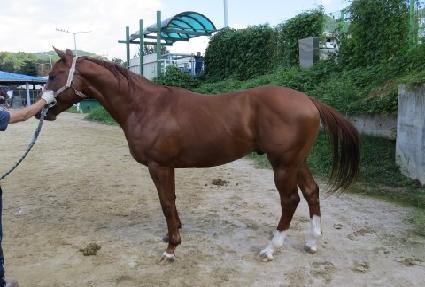 �ݰ����� ����