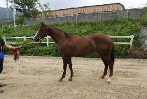 ���Ƿν� (Zephyros) ����