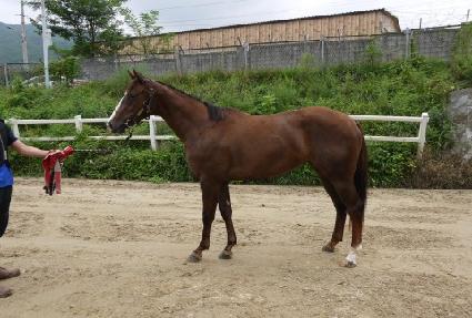 ���Ƿν� ����