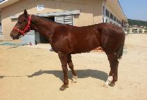 ����ȭ (HAENGUN SINHWA) ����