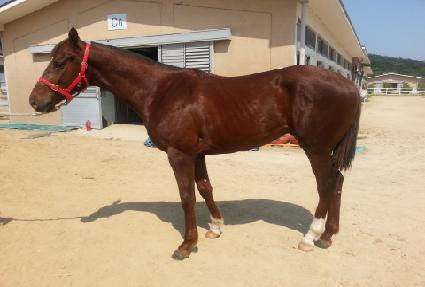 ����ȭ ����