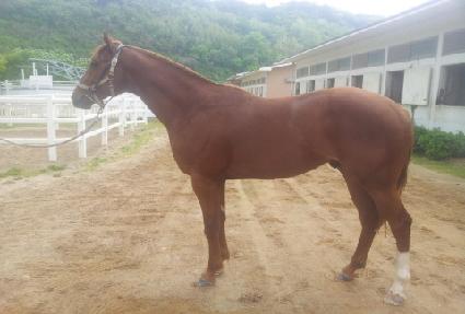 ����ġ���� ����