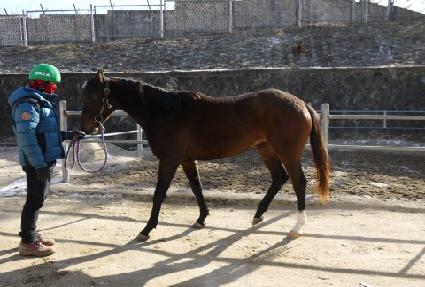 �ε�� ����