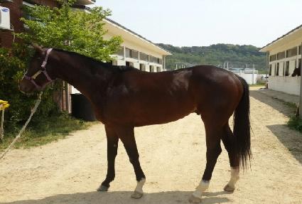 �ΰ��� ����