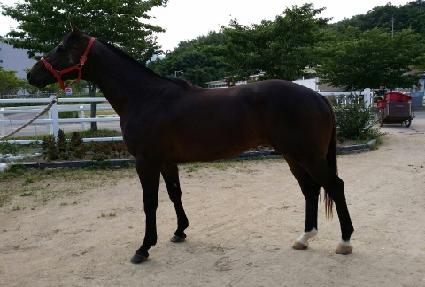 �ٶ������� ����