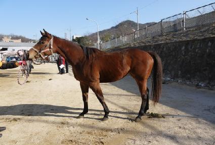 �����ǳ ����