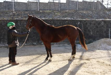 Ž��ǳ ����