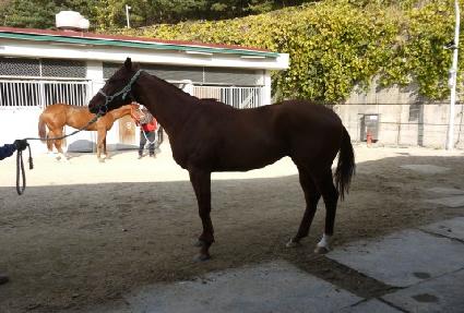 �׷������н� ����